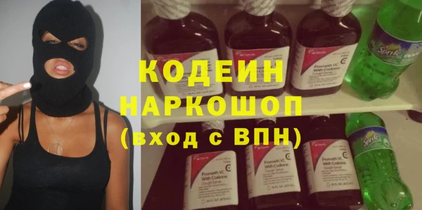 индика Алзамай