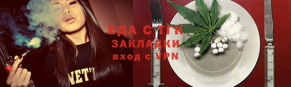 индика Алзамай