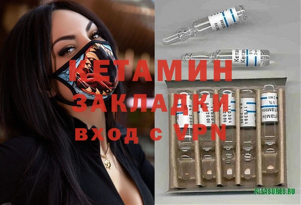 индика Алзамай